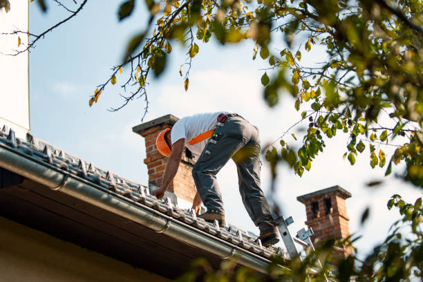 Best Local Roofing Companies  in East End, AR